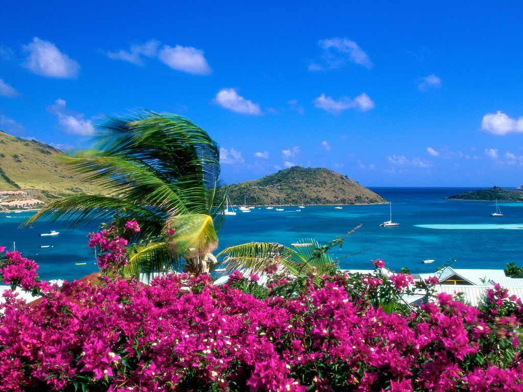 summer free wallpaper